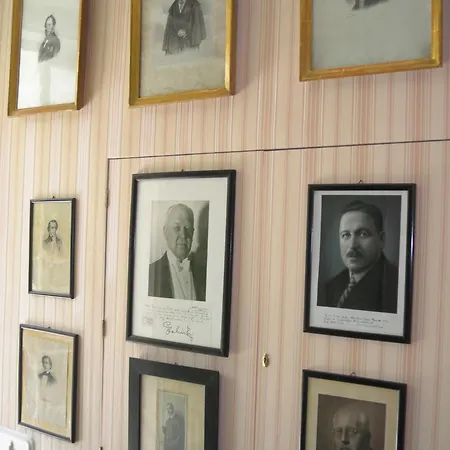 Rosenvilla - Musikerschloessl Vila Bad Ischl